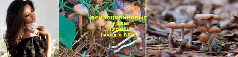 mega сайт  Минусинск  Псилоцибиновые грибы Magic Shrooms 